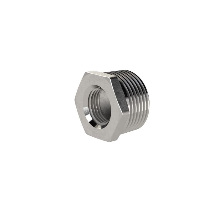 RIEGLER Reduziernippel, G 1/4 AG, 1/8 IG, SW 15, ES 1.4408