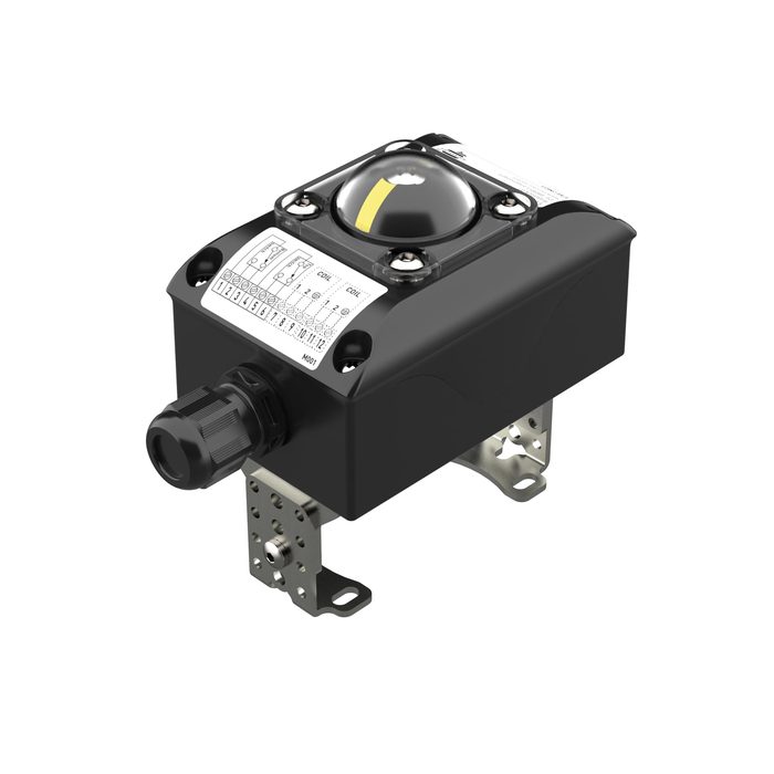 [117191] RIEGLER Endlagen-Rückmeldung Aluminium, Mikroschalter, 12-250V AC/DC