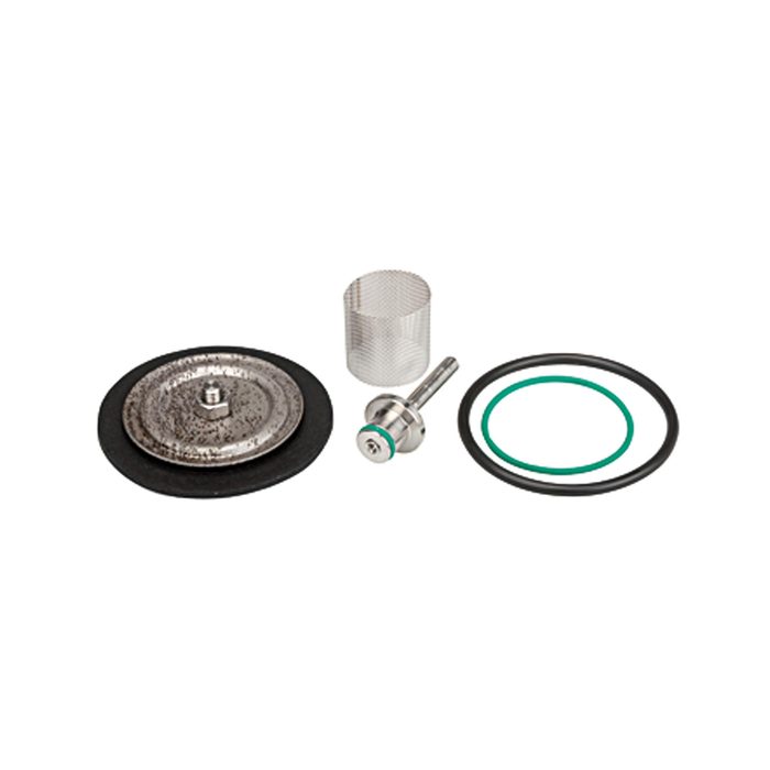 [129672] RIEGLER Wear parts kit, stainless steel pressure r., 1.4404, n. set back, G 1/2