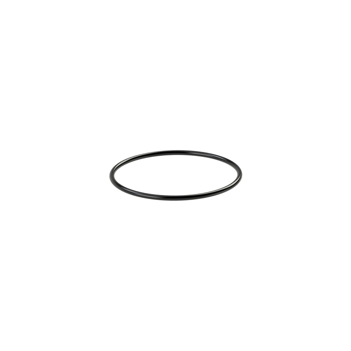 RIEGLER O-Ring Set, R 1, R 1 1/4, VPE 10 Stk.