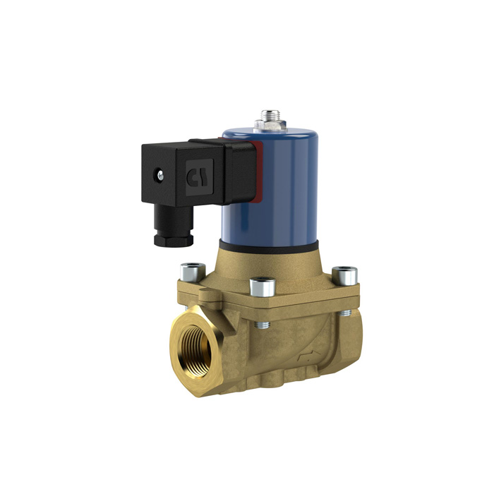 [129465] RIEGLER 2/2 MV, NC, MS, G34, DN20, PN 0-12, NBR, zwangsg., 12V DC