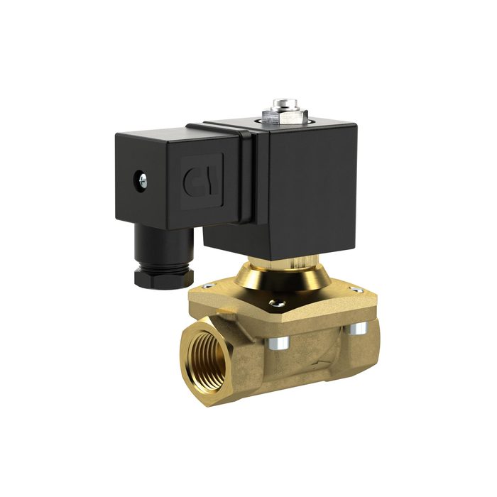 [129481] RIEGLER 2/2 MV, NO, MS, G1, DN25, PN 0-12, NBR, zwangsg., 230V AC