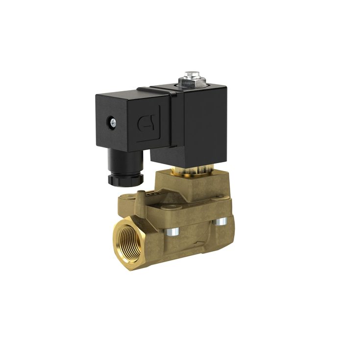 [129630] RIEGLER 2/2 MV, NO, MS, G12, DN13, PN 0,5-12, NBR, vorgest., 12V DC