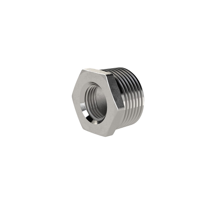 RIEGLER Reducing nipple, R 1/4 male, Rp 1/8 female, SW 15, ES 1.4408