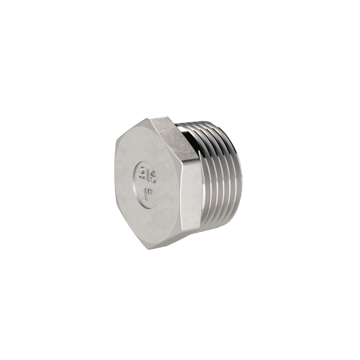 RIEGLER Verschlussstopfen, Sechskant, R 2, AG, SW 62, ES 1.4408