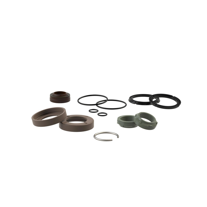 [156465] RIEGLER Seal kit for standard cylinder ISO 15552, piston Ø 100, FKM