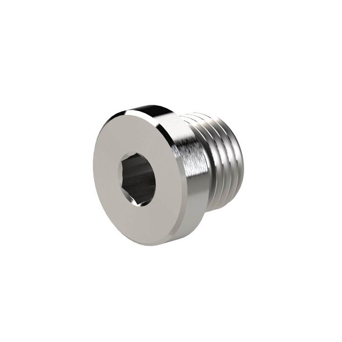 RIEGLER Verschlussschraube »NonPlusUltra«, ISK, G1/8, SW5, VPE 10 Stk.