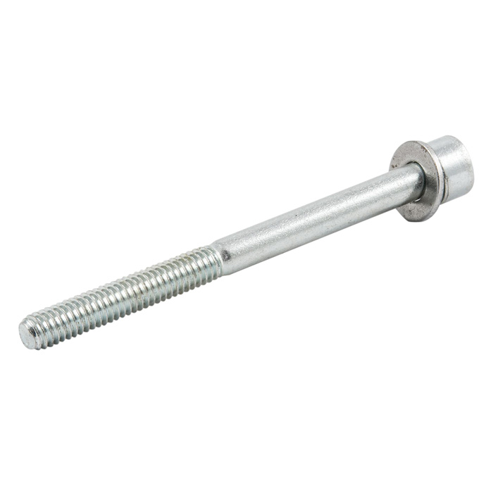 [145507] RIEGLER SYNTESI" fixing screw, BG 1