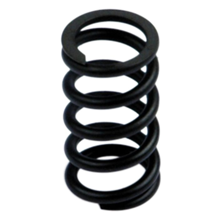 [145634] RIEGLER SYNTESI" spring, BG 1, 0-4 bar, anti-corrosion