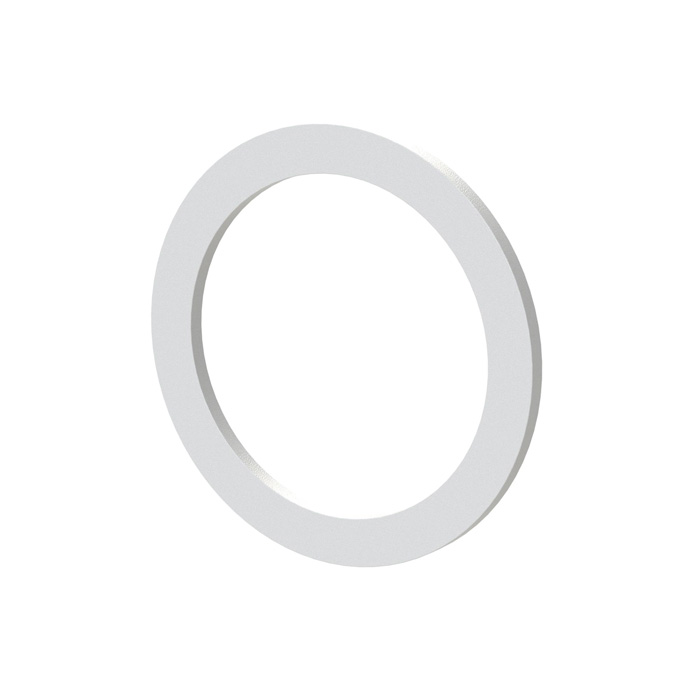 RIEGLER Flachdichtung aus PTFE Gr. 8