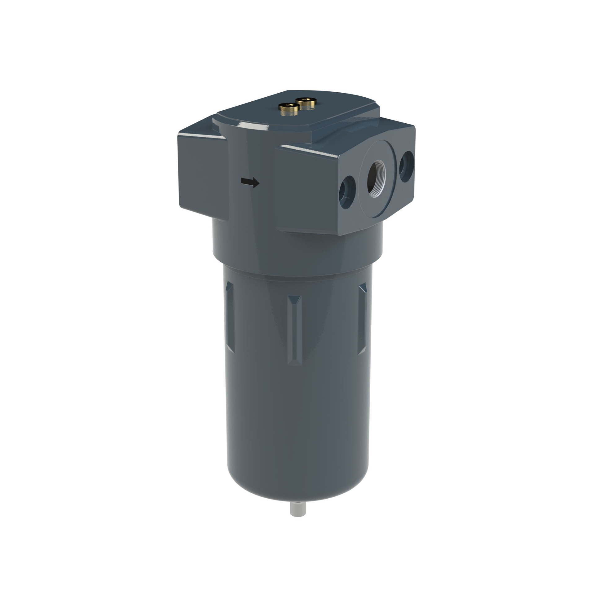 RIEGLER Mikrofilter ohne Differenzdruckmanometer, 0,01 µm, G 1