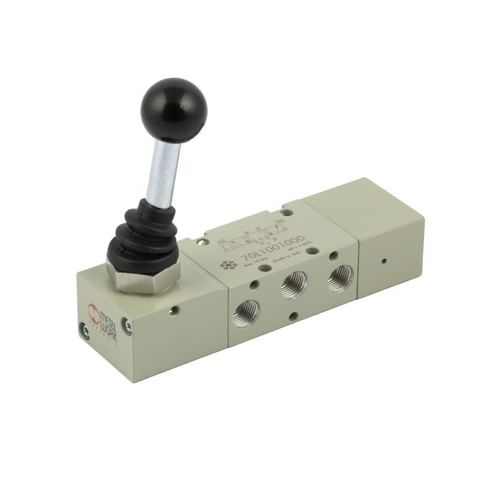 [149913] RIEGLER 5/3-way valve, low-temp., manual 90° lever, G 1/8, M. relieved, backflow preventer.