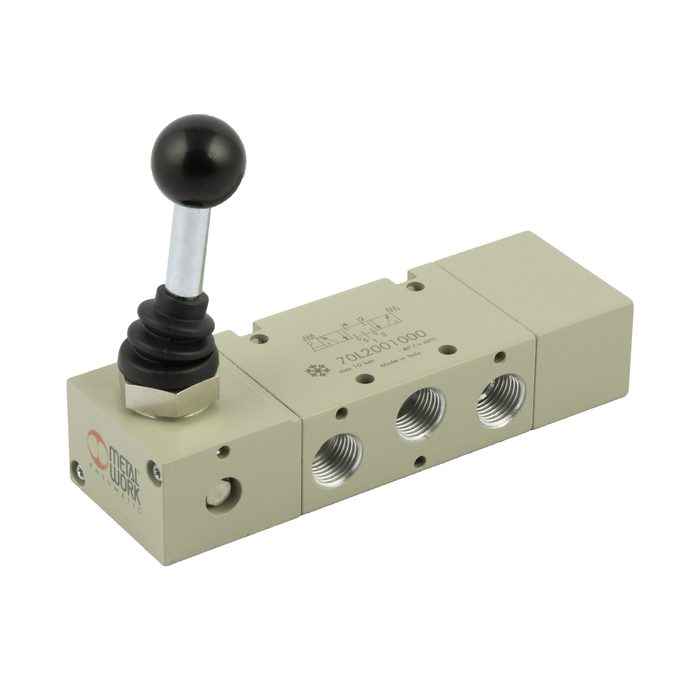[149921] RIEGLER 5/3-way valve, low-temp., manual 90° lever, G1/4, M. closed, rast.